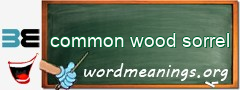 WordMeaning blackboard for common wood sorrel